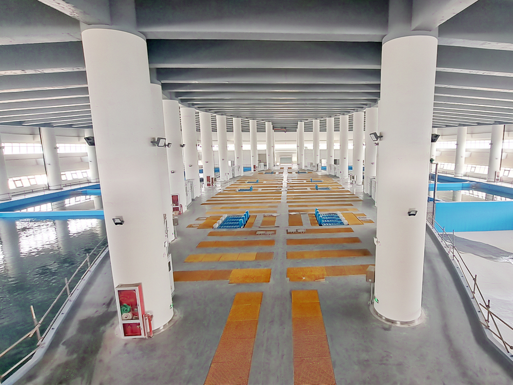 长江口中华鲟自然保护区基地- 中华鲟 - 淡水