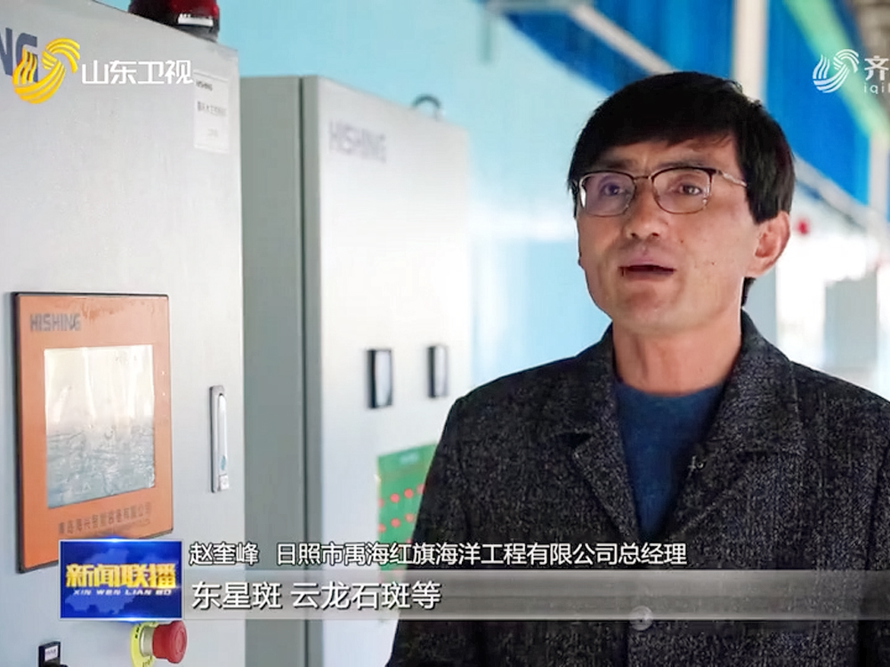 山东日照 - 石斑鱼类 - 海水