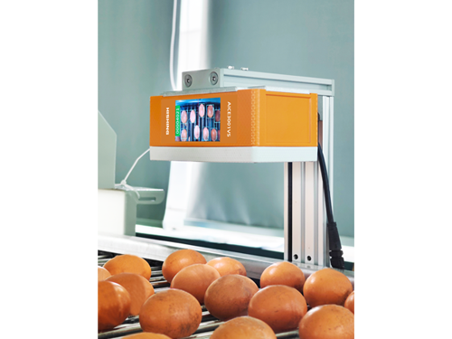 HMI支蛋线视觉数蛋器